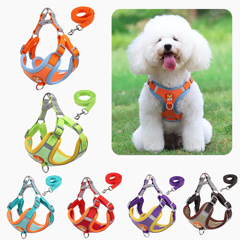 PawPro™ Harness & Leash Set