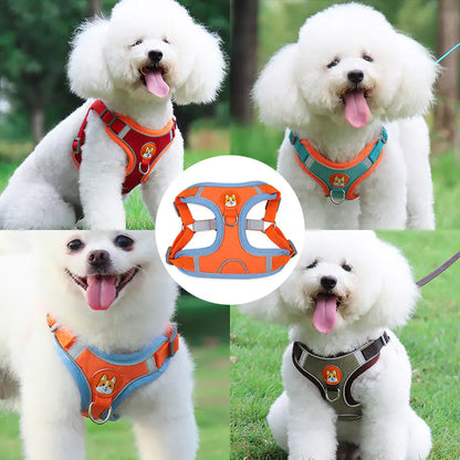 PawPro™ Harness & Leash Set